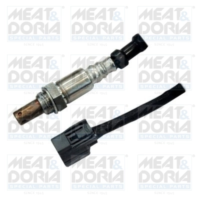 Oxygen Sensor